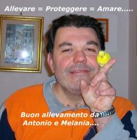 Ondulati di Colore addestrato del mio allevamento Papania Antonio 2013