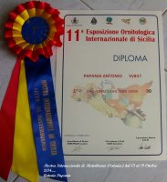 Mostra Internazionale di Misterbianco(Catania)dal 13 al 19 Ottobre2014