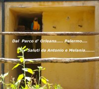 Parco d'Orleans di Palermo.....